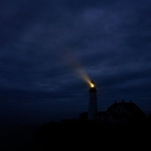 Meet your Posher, Tracey